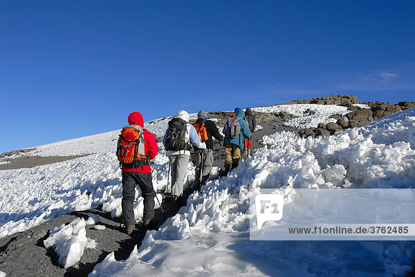 Group of mountaineers hike over harsh snow to Uhuru Peak (5895 m) crater rim Kilimanjaro Tanzania