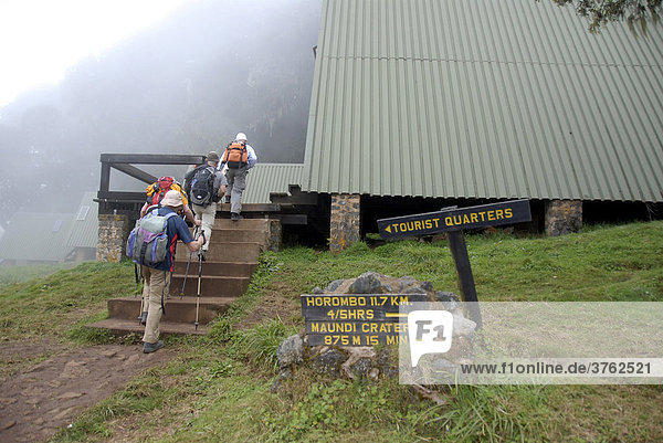 Tourists group of trekkers on their way up to a hut Mandara Huts Marangu Route Kilimanjaro Tanzania