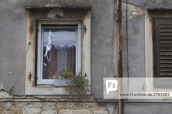 Window with bra  Vodnjan  Croatia