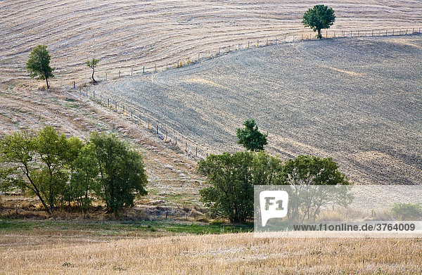 Abgemähte Felder mit Bäumen Toskana Italien