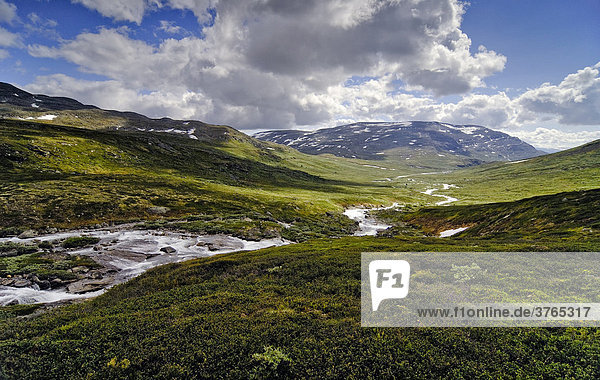 Dovrefjell-Sunndalsfjella-Nationalpark  Norwegen  Skandinavien  Europa