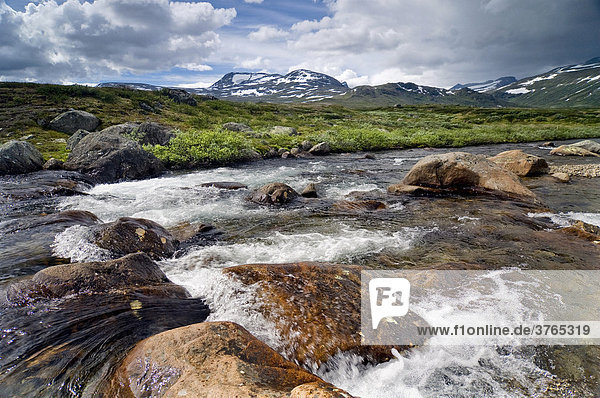 Dovrefjell-Sunndalsfjella-Nationalpark  Norwegen  Skandinavien  Europa