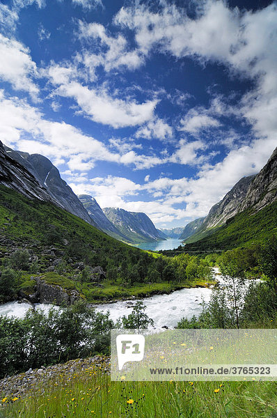 Fjord bei Stryn  Norwegen  Skandinavien  Europa