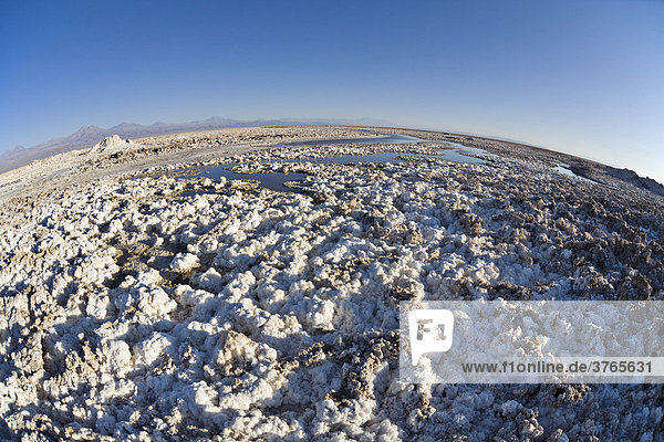 Salzformationen bedecken den Boden des Reserva Nacional los Flamencos in der Salar de Atacama  RegiÛn de Antofagasta  Chile  Südamerika