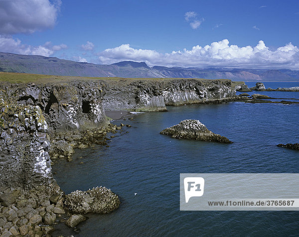 Klippenküste aus Basaltfelsen  Arnarstapi  Snaefellsnes Halbinsel  Island