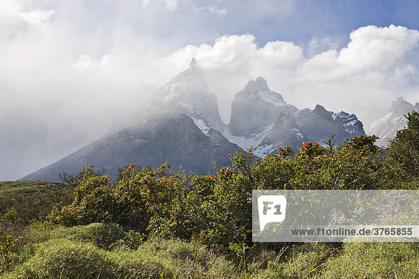 Los Cuernos peaks  Torres del Paine National Park  Patagonia  Chile  South America