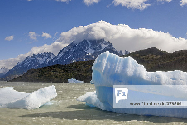 Icebergs and Torres del Paine Grande peaks seen from Logo Grey  Torres del Paine National Park  Patagonia  Chile  South America
