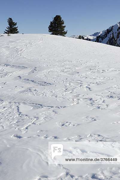 Alte Tiefschneespur reliefartig vom Wind verpresst Zillertaler Alpen Österreich