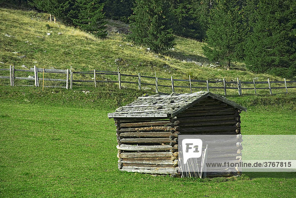 Heustadl auf einer Almwiese im Stubaital  Tirol  Österreich