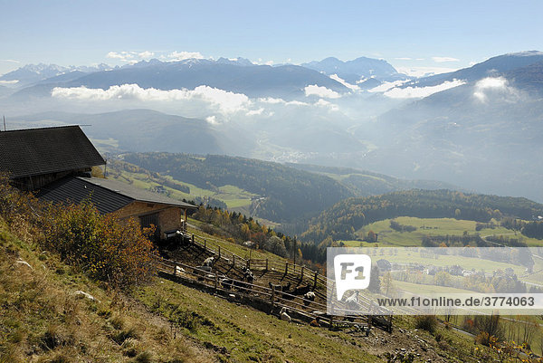 Berge mit tief hängenden Nebelschwaden und Bauernhof mit Kühen im Vordergrund  Dolomiten  Pustertal  Südtirol  Italien