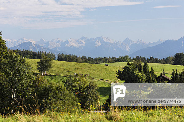 Alpenpanorama in Holzhausen bei Münsing  Oberbayern