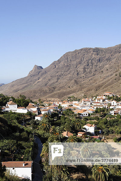 Fataga  Gran Canaria  Spain