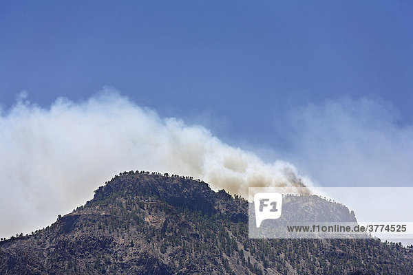 Waldbrand  Santa Lucia  Gran Canaria  Kanaren  Spanien