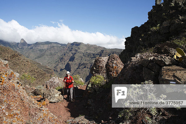 Targa  Barranco de Benchijigua  La Gomera  Canary Islands  Spain