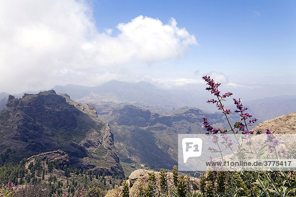 Aussicht in den Bergen von Gran Canaria  bei Roque Nublo  Kanarische Inseln  Spanien