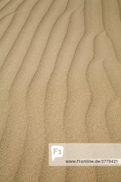 Wellenmuster im Sand in den Dünen von Maspalomas auf Gran Canaria  Kanarische Inseln  Spanien