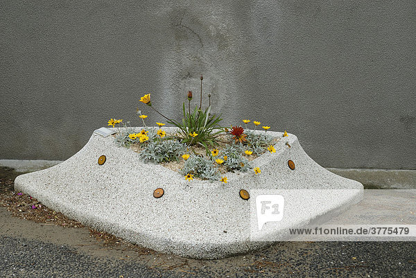Parkbegrenzung aus Stein mit Blumen bepflanzt