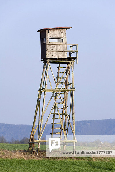 A raised hide