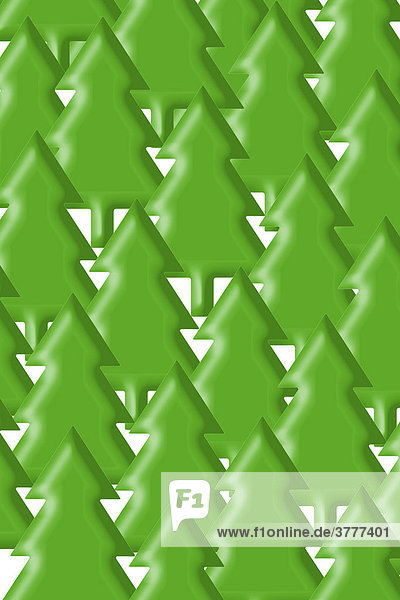 A coniferous forest - graphic