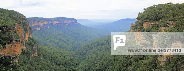 Panoramaaufnahme der Blue Mountains  South Wales  Australien