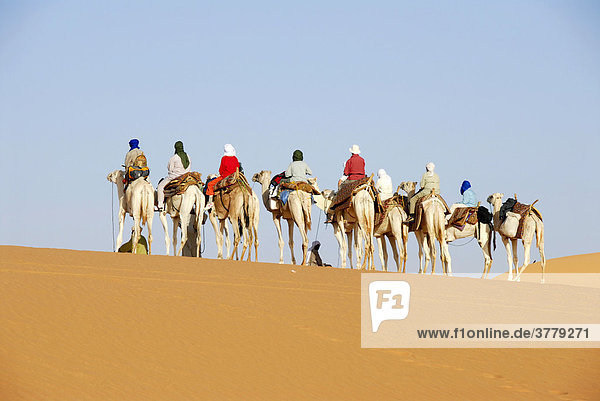 Kameltrekking auf Sanddüne in der Wüste Mandara Libyen