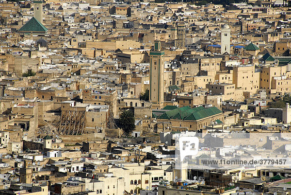 Blick auf das Häusermeer der Altstadt mit Kairaouine Moschee und Minarett Fes Marokko