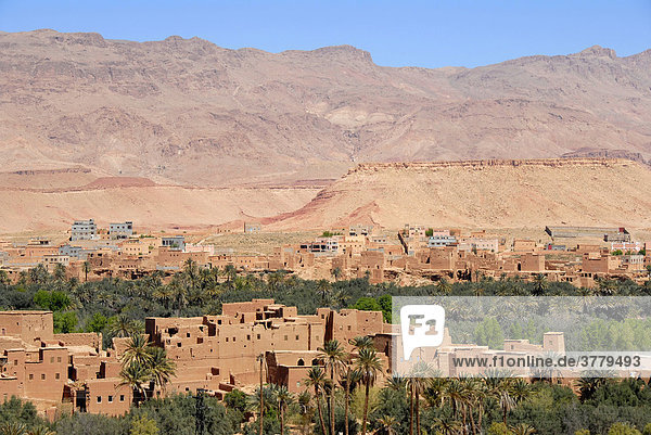 Blick auf die Altstadt Ksar Tenerhir Marokko