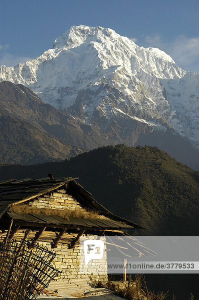 Bauernhaus vor schneebedecktem Massiv des Annapurna South Ghandruk Annapurna Region Nepal