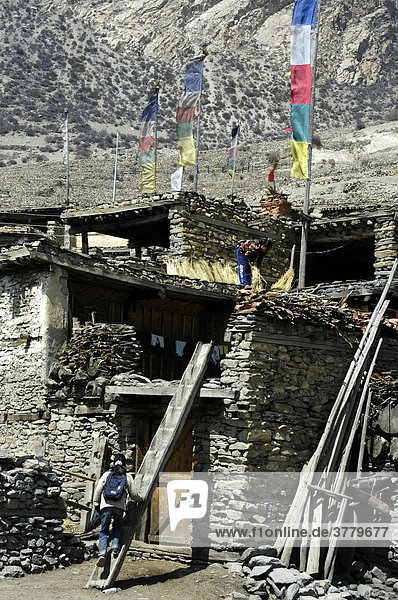 Steinhaus mit flachem Dach Holzleiter und Gebetsfahnen in Manang Annapurna Region Nepal
