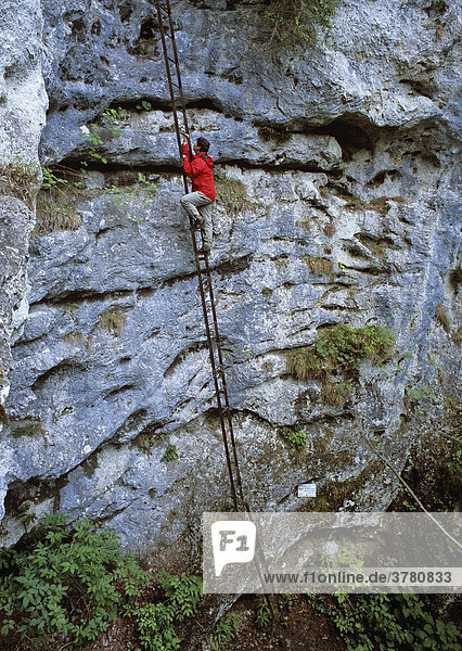 A high iron ladder of a climbing route in the Steinwand gorge  Lower Austria  Austria