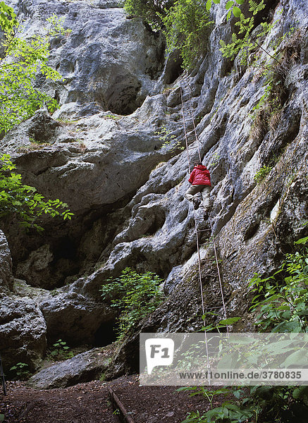 A high iron ladder of a climbing route in the Steinwand gorge  Lower Austria  Austria