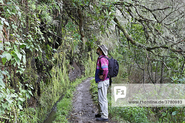 Weg entlang der Levada  Caldeirao Verde  Madeira  Portugal