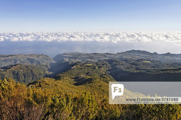 Blick auf die Orte an der Nordküste vom Achada do Teixeira  Madeira  Portugal