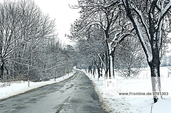 Winter Road