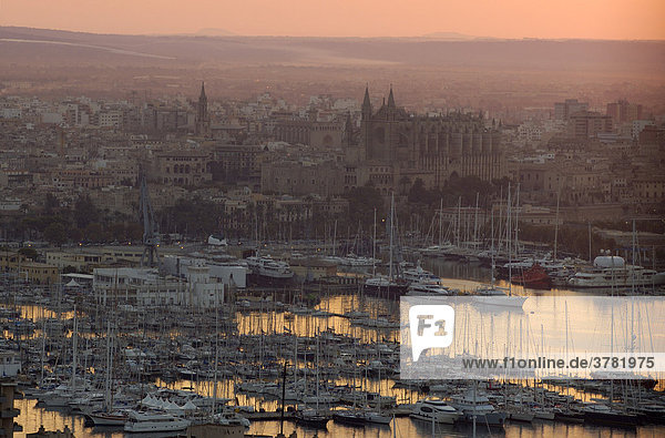 Blick auf den Hafen  Altstadt und Kathedrale bei Sonnenaufgang  Palma de Mallorca  Spanien