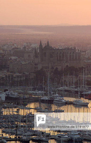 Blick auf den Hafen  Altstadt und Kathedrale bei Sonnenaufgang  Palma de Mallorca  Spanien