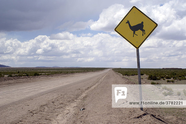 Schild: Vorsicht Lama Wildwechsel  Hochland von Uyuni  Bolivien