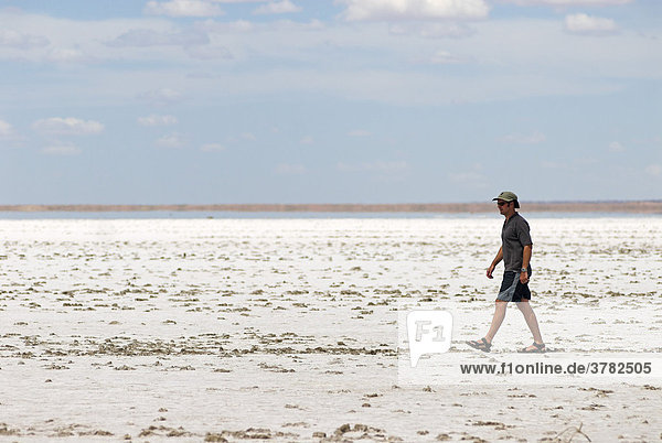 Mann auf dem Salzsee Lake Eyre  Südaustralien  Australien