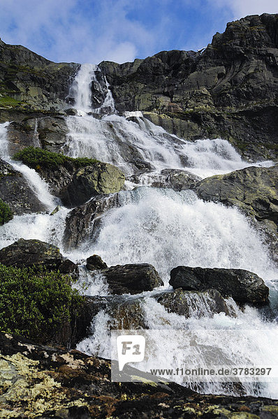 Wasserfall  Jotunheimen Nationalpark  Norwegen  Skandinavien