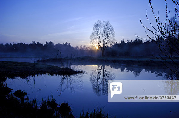 Morgenstimmung am See  Landschaft spiegelt sich in einem ruhigen See  Egmating  Oberbayern  Bayern  Deutschland
