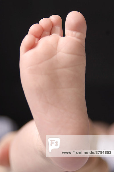 Foot of a baby (2 month old)