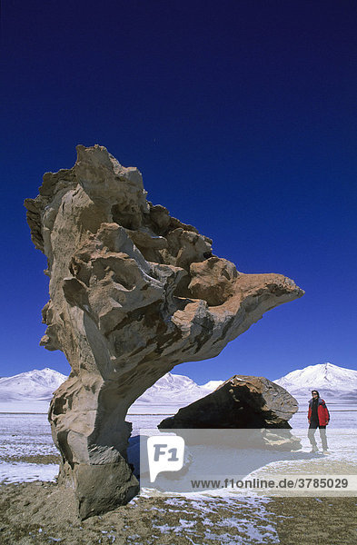Touristin am Steinernen Baum Arbol de Piedra  Deserto de Siloli  Potosi  Bolivien