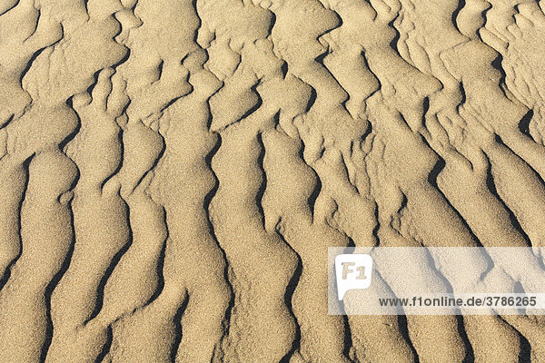 Wellenmuster in Sanddünen  Maspalomas  Gran Canaria  Kanaren  Spanien