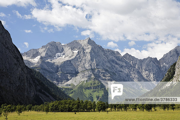 Großer Ahornboden  Engtal  Spitzkarspitze  Karwendel-Gebirge  Tirol  Österreich