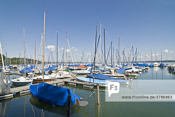 Segelboote am Starnberger See bei Bernried Bayern Deutschland