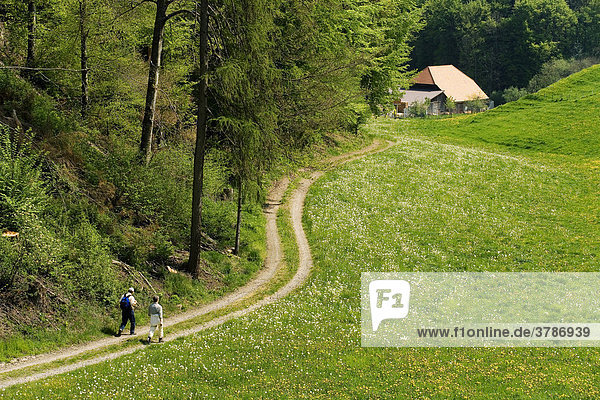 Wanderer auf einem Feldweg zu einem abgelegenen Haus  Sensebezirk  Kanton Freiburg  Schweiz