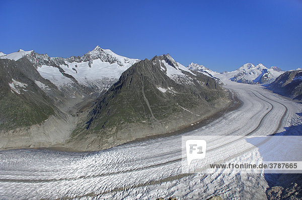 Blick vom Eggishorn auf den grossen Aletschgletscher  Goms  Wallis Schweiz