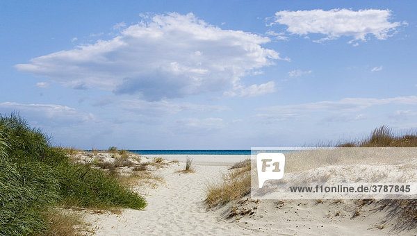 Dunes on the beach of La Caletta Sardinia Italy