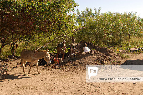 Brunnenbau mit Eselskraft  Paraguay