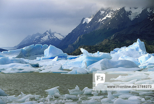 Lago de Grey  Grey Gletscher  Torres del Paine Nationalpark  Patagonien  Chile
